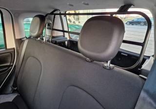 FIAT Panda usata 14