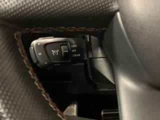 DS AUTOMOBILES DS 7 usata, con Vetri oscurati