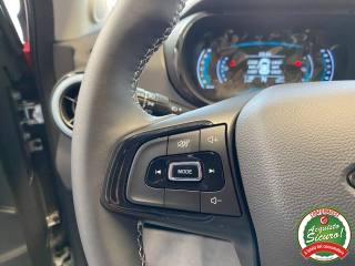 DR MOTOR DR 1.0 EV usata 20