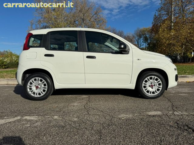 FIAT Panda usata, con Alzacristalli elettrici