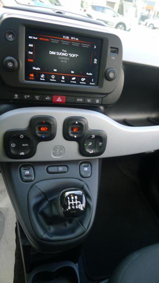 FIAT Panda Cross usata, con Fendinebbia