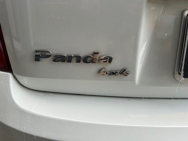 FIAT Panda usata, con Fendinebbia