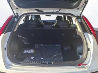 KIA Niro usata 8