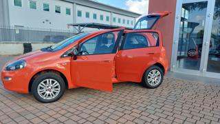 FIAT Punto usata 26