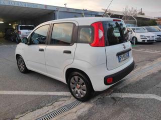 FIAT Panda usata, con Airbag Passeggero