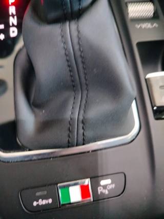 ALFA ROMEO Tonale usata 29