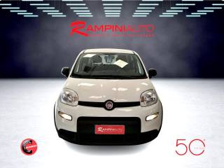 FIAT Panda usata 2