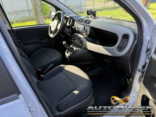 FIAT Panda usata, con Controllo trazione