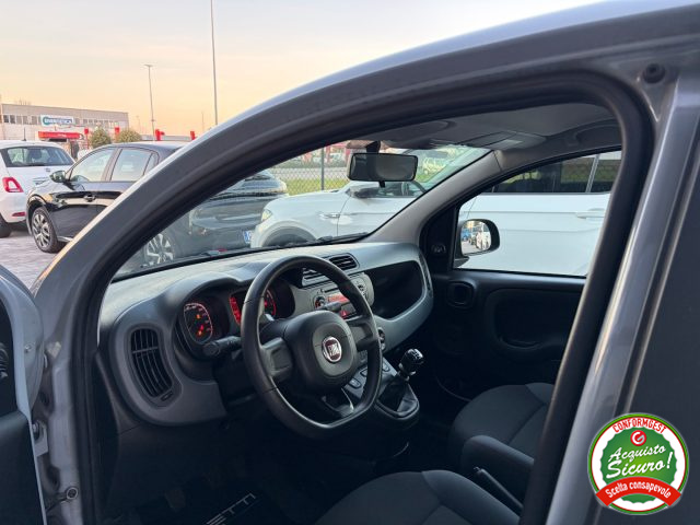 FIAT Panda usata, con Fendinebbia