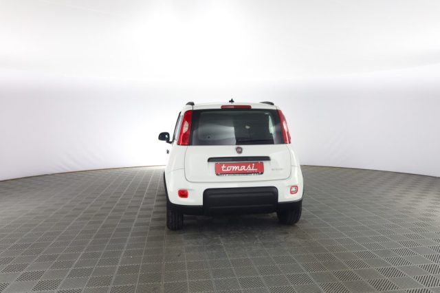 FIAT Panda usata 4
