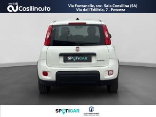 FIAT Panda usata, con Airbag Passeggero