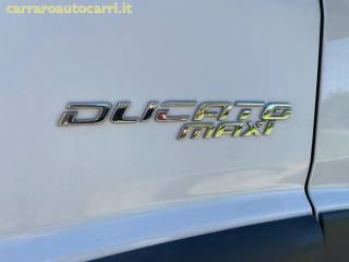 FIAT Ducato usata, con Vivavoce