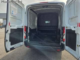 FORD Transit usata 12