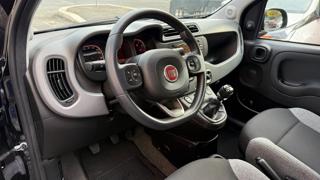 FIAT Panda usata, con ESP