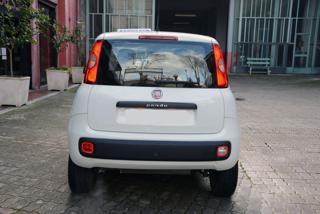 FIAT Panda usata, con Alzacristalli elettrici