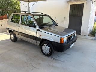 FIAT Panda usata, con Chiusura centralizzata