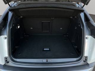 PEUGEOT 3008 usata, con Bracciolo