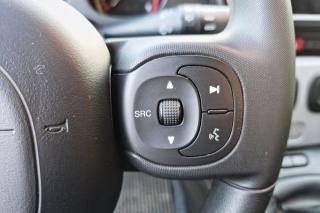 FIAT Panda Cross usata, con Chiusura centralizzata telecomandata
