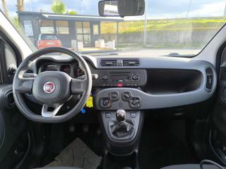 FIAT Panda usata, con Fendinebbia