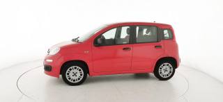 FIAT Panda usata 28