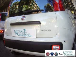 FIAT Panda usata 6