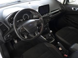 FORD EcoSport usata, con Vetri oscurati