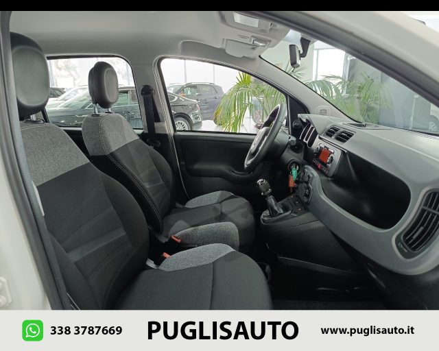 FIAT Panda usata 15