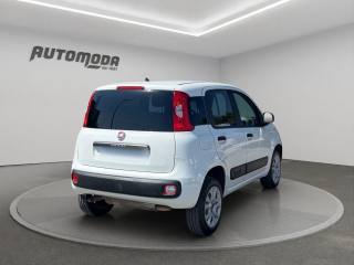 FIAT Panda usata, con Airbag Passeggero