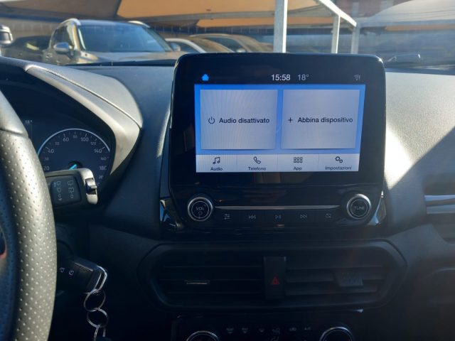 FORD EcoSport usata, con Bracciolo