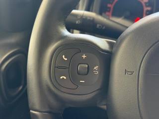 FIAT Panda usata, con Airbag testa