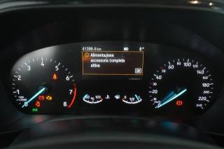 FORD Focus usata 12