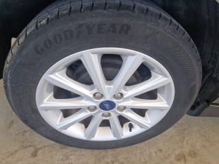 FORD Focus usata, con Cruise Control
