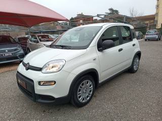 FIAT Panda usata, con Airbag Passeggero