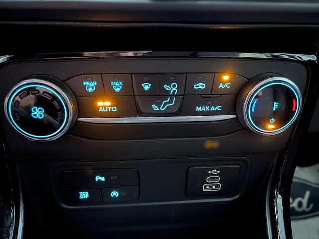 FORD EcoSport usata, con Controllo trazione