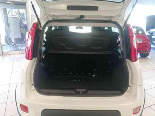 FIAT Panda usata 32
