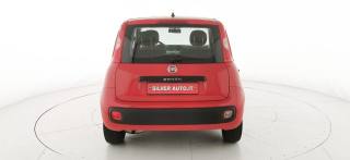 FIAT Panda usata 32