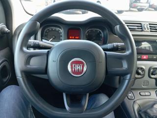 FIAT Panda usata, con Controllo trazione