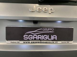 JEEP Avenger usata, con Sensore di luce