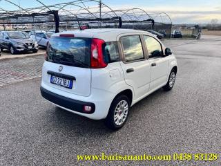 FIAT Panda usata, con Airbag Passeggero
