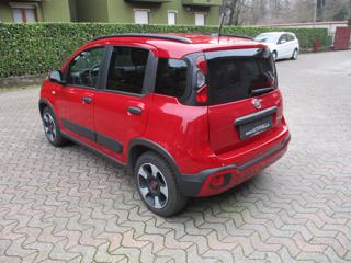 FIAT Panda Cross usata, con Alzacristalli elettrici
