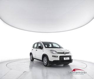 FIAT Panda usata 1