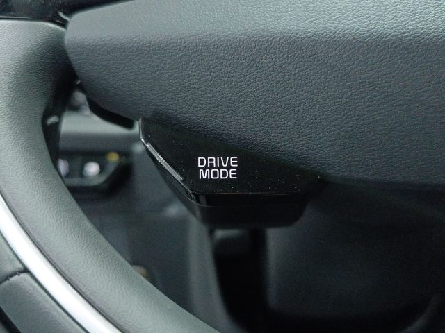 KIA Niro usata, con Frenata d