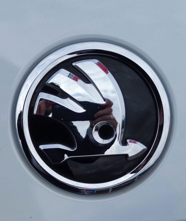 SKODA Octavia usata, con Fendinebbia