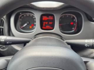 FIAT Panda Cross usata, con ESP