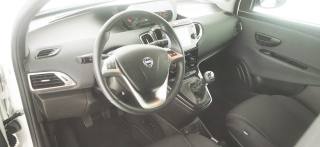 LANCIA Ypsilon usata 39