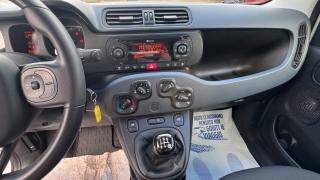FIAT New Panda usata, con ESP