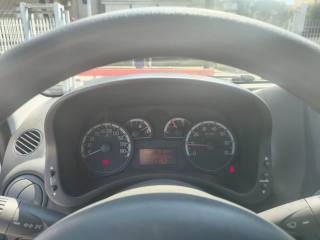 FIAT Panda usata, con Lettore CD