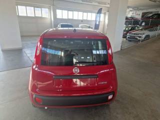 FIAT Panda usata, con Chiusura centralizzata