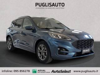 FORD Kuga 1.5 EcoBlue 120 CV 2WD ST-Line X