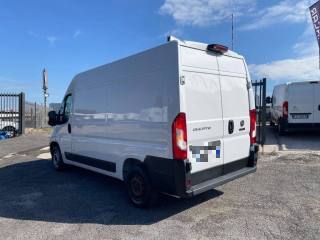 FIAT Ducato usata, con Chiusura centralizzata